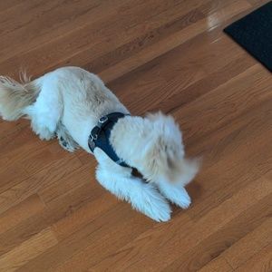 Meet your Posher, Jason